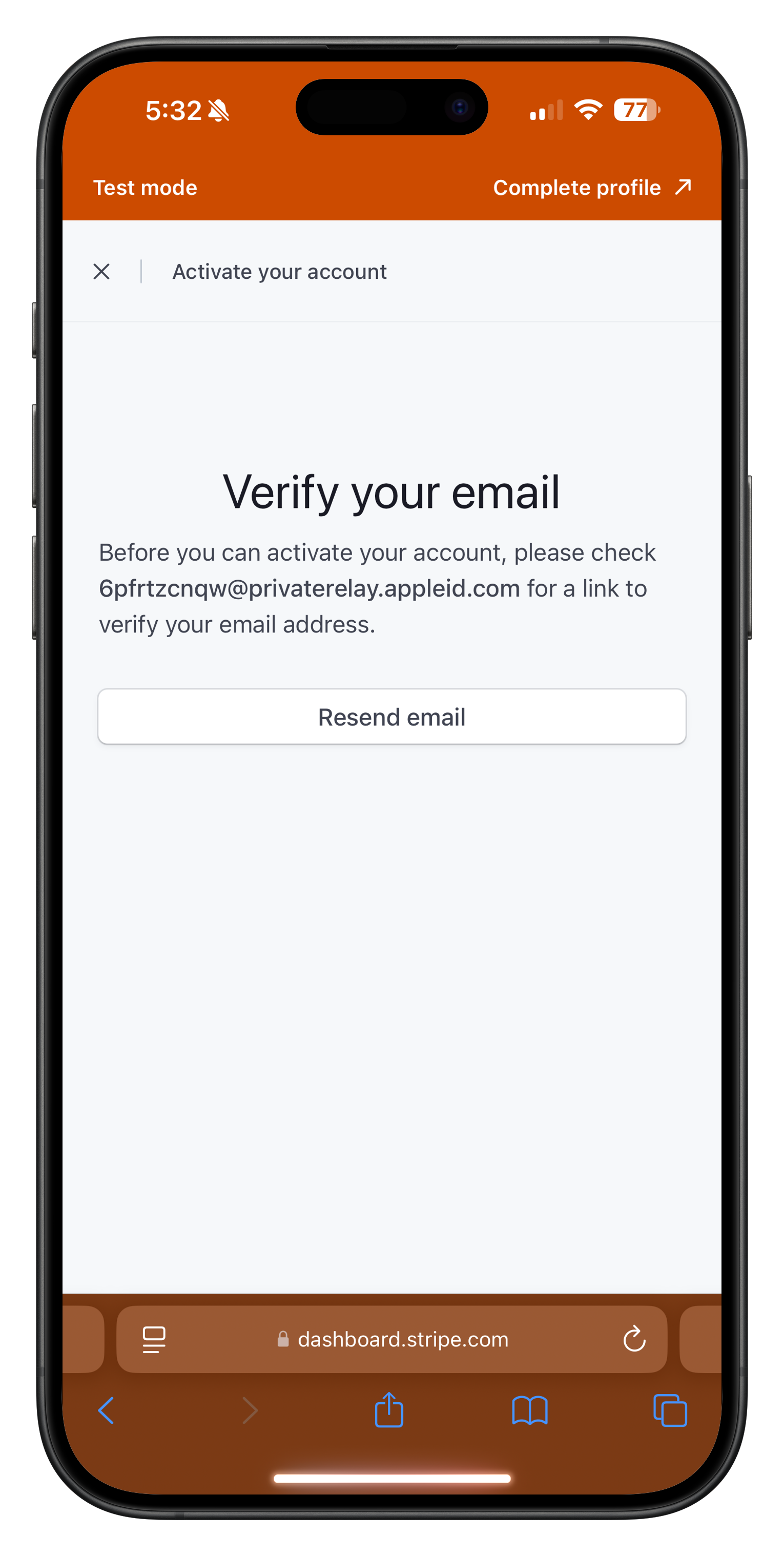 Stripe email verification screen